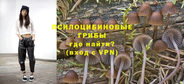шишки Верхнеуральск