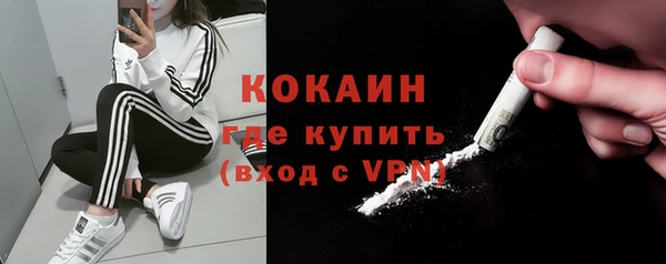 твердый Бородино