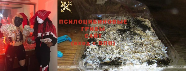 соль ск Верея