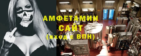твердый Бородино