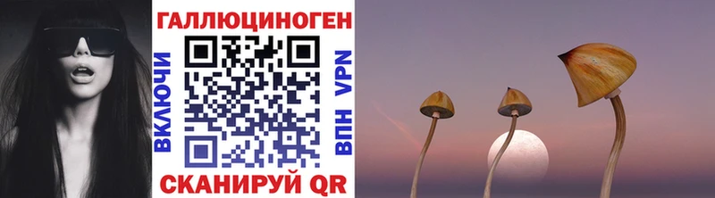 Псилоцибиновые грибы Psilocybe Купить Лиски